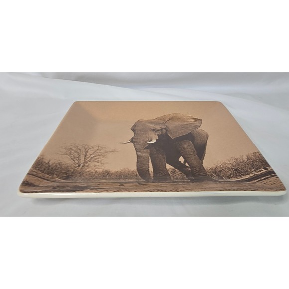 Dario Farrucci Designs 8" Square Salad Plate Elephant Sepia Photo Africa Safari - Picture 2 of 5